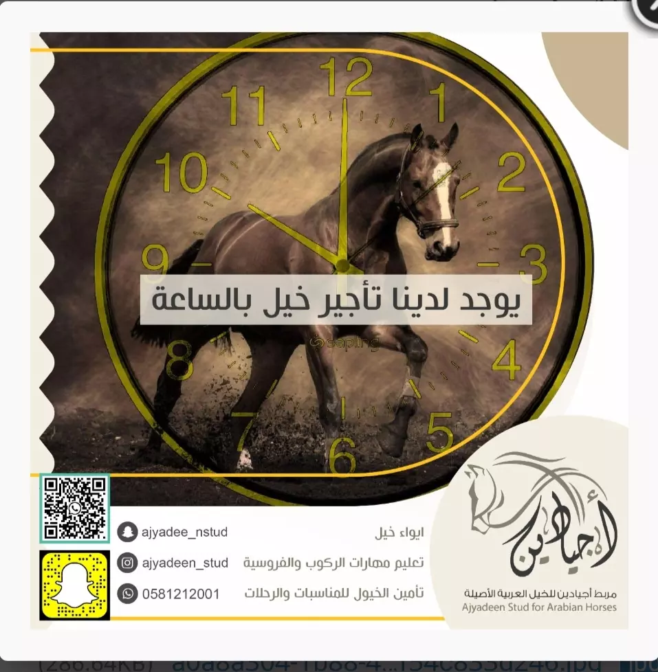 تصميمات سوشيال ميديا