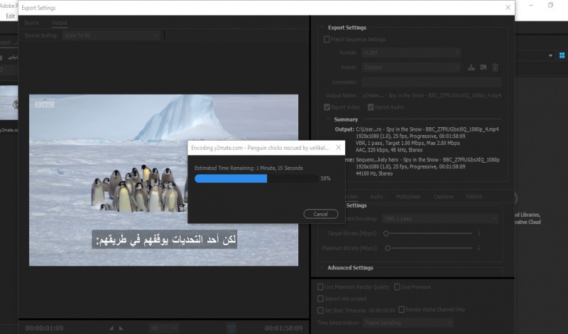 ترجمة ضمن الفيديو (subtitles) باللغة الانجليزية أو العربية