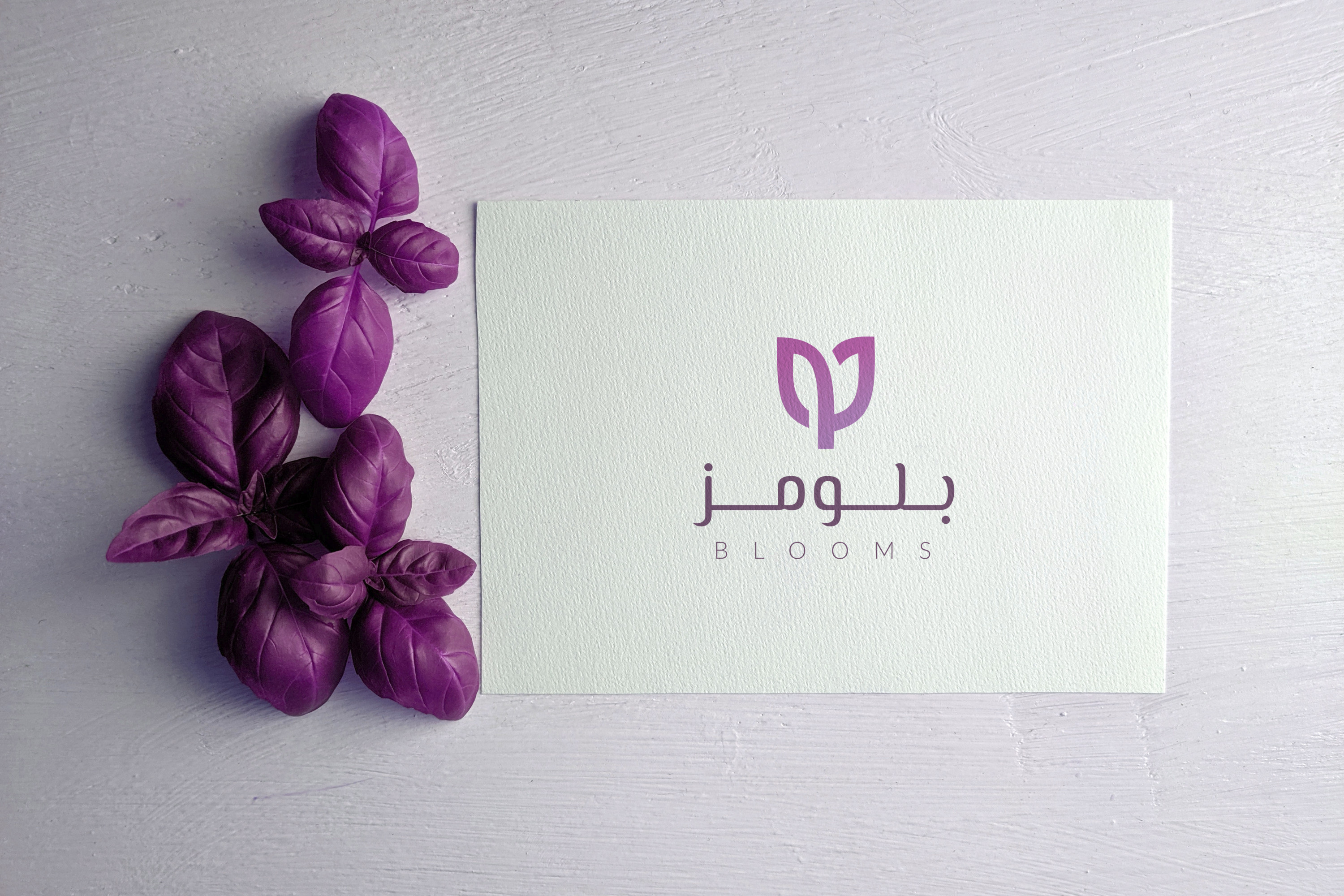 تصميم شعار احترافي ومميز