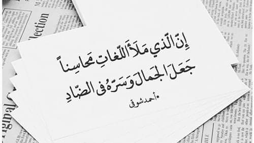 التدقيق اللغوي ومراجعة النصوص