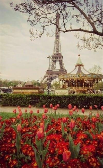 تعليم اللغه الفرنسيه