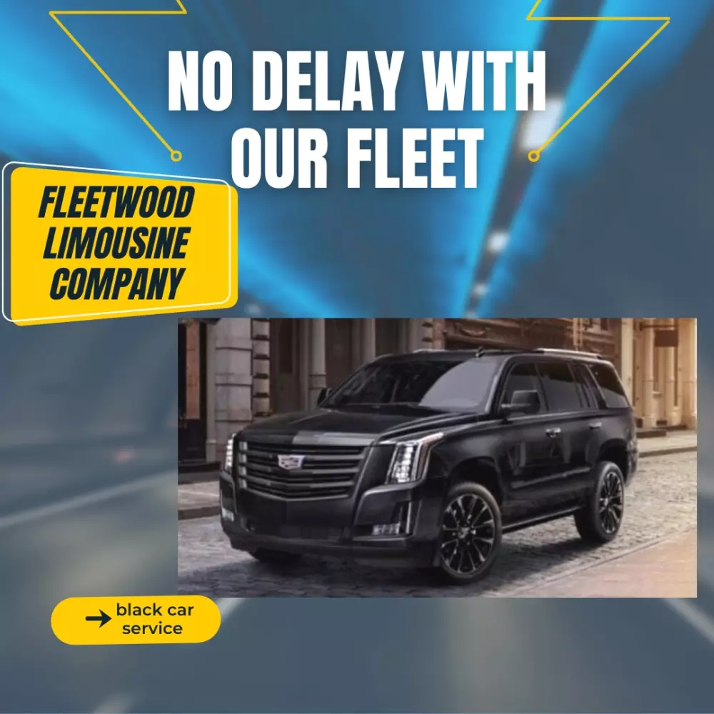 تصميم لوجو محترف