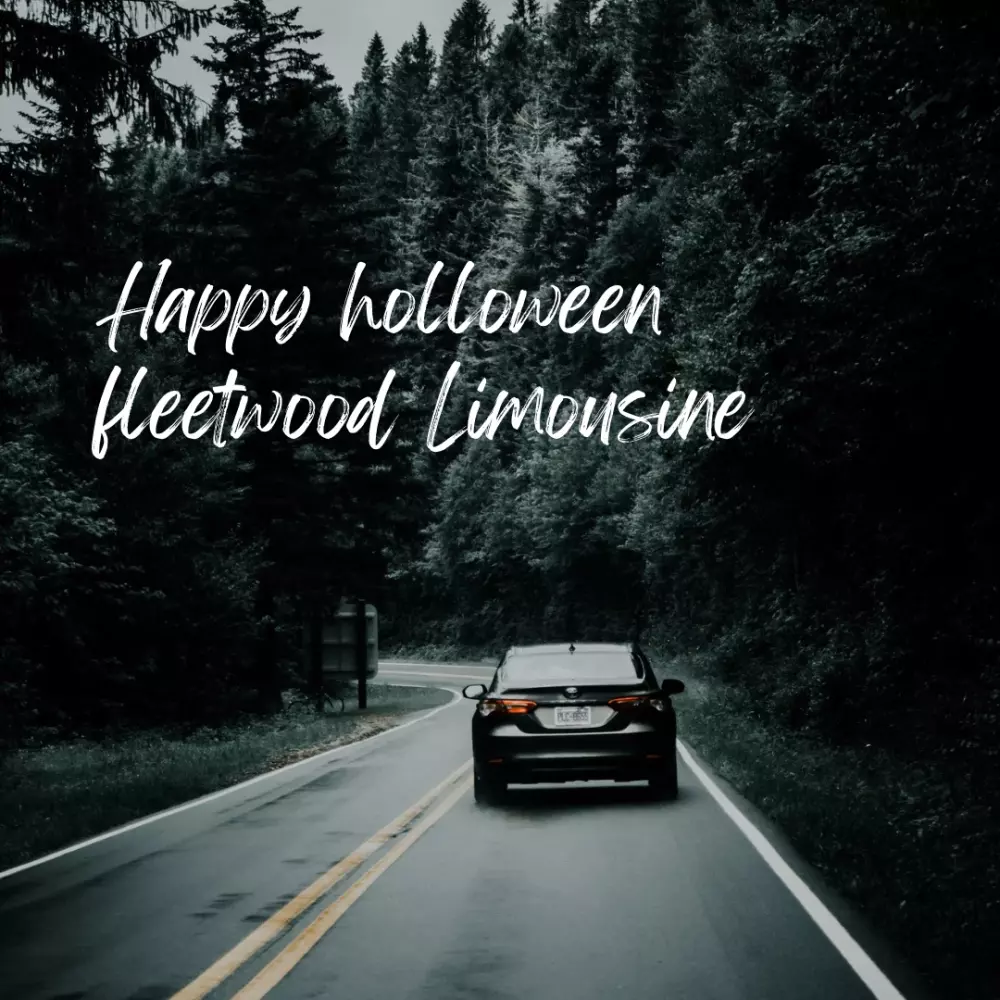 تصميم لوجو محترف