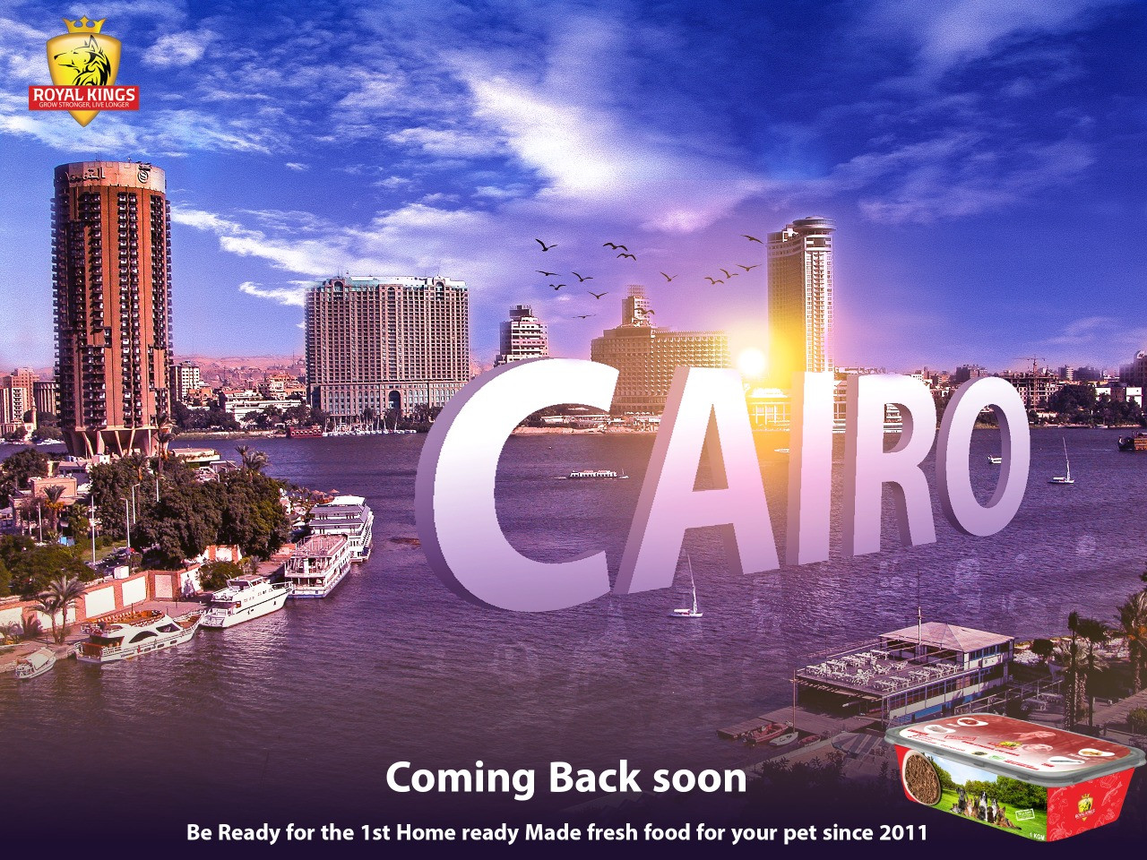 مصمم سوشيال ميديا