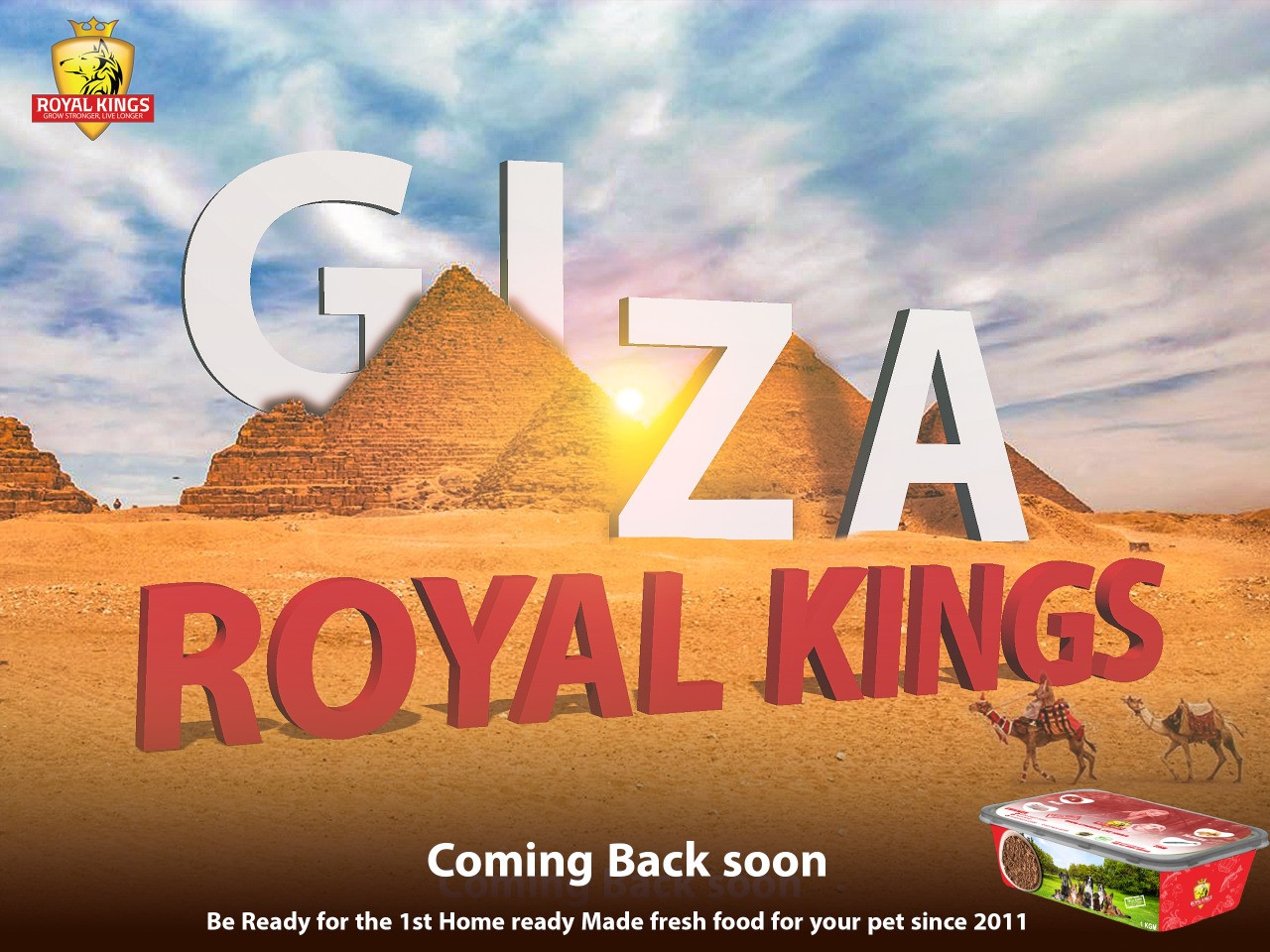 مصمم سوشيال ميديا