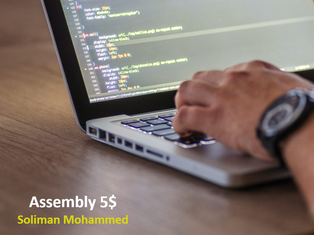 شرح وحل برامج لغة ال Assembly المعقدة