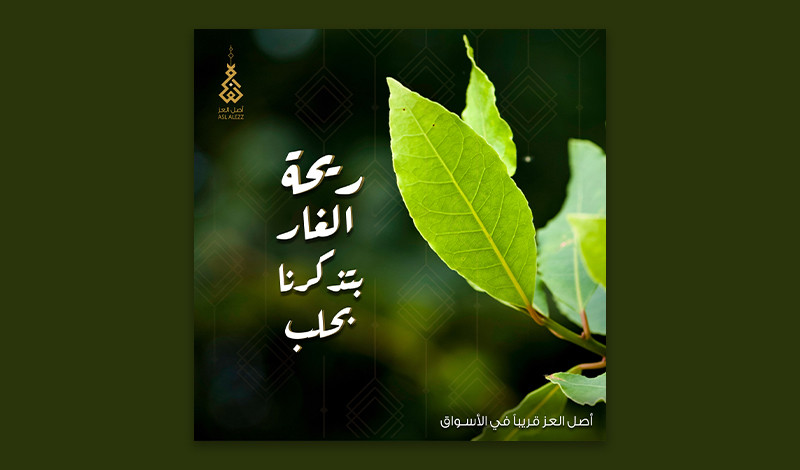 تصميم صورة اعلانية احترافية لمواقع التواصل الاجتماعي