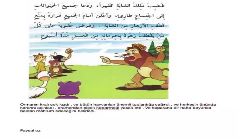 ترجمة من اللغة التركية إلى العربيه والعكس