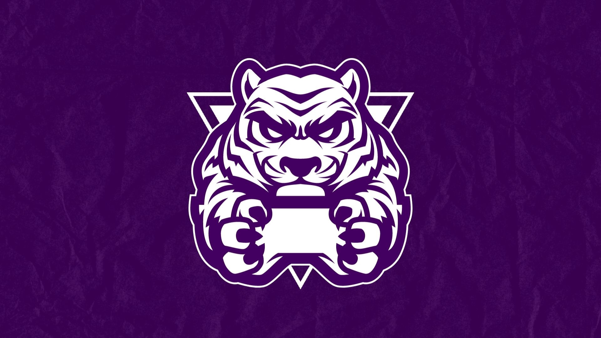 نهاية / مقدمة فيديو احترافية ب$5 فقط ( توجد عينة )