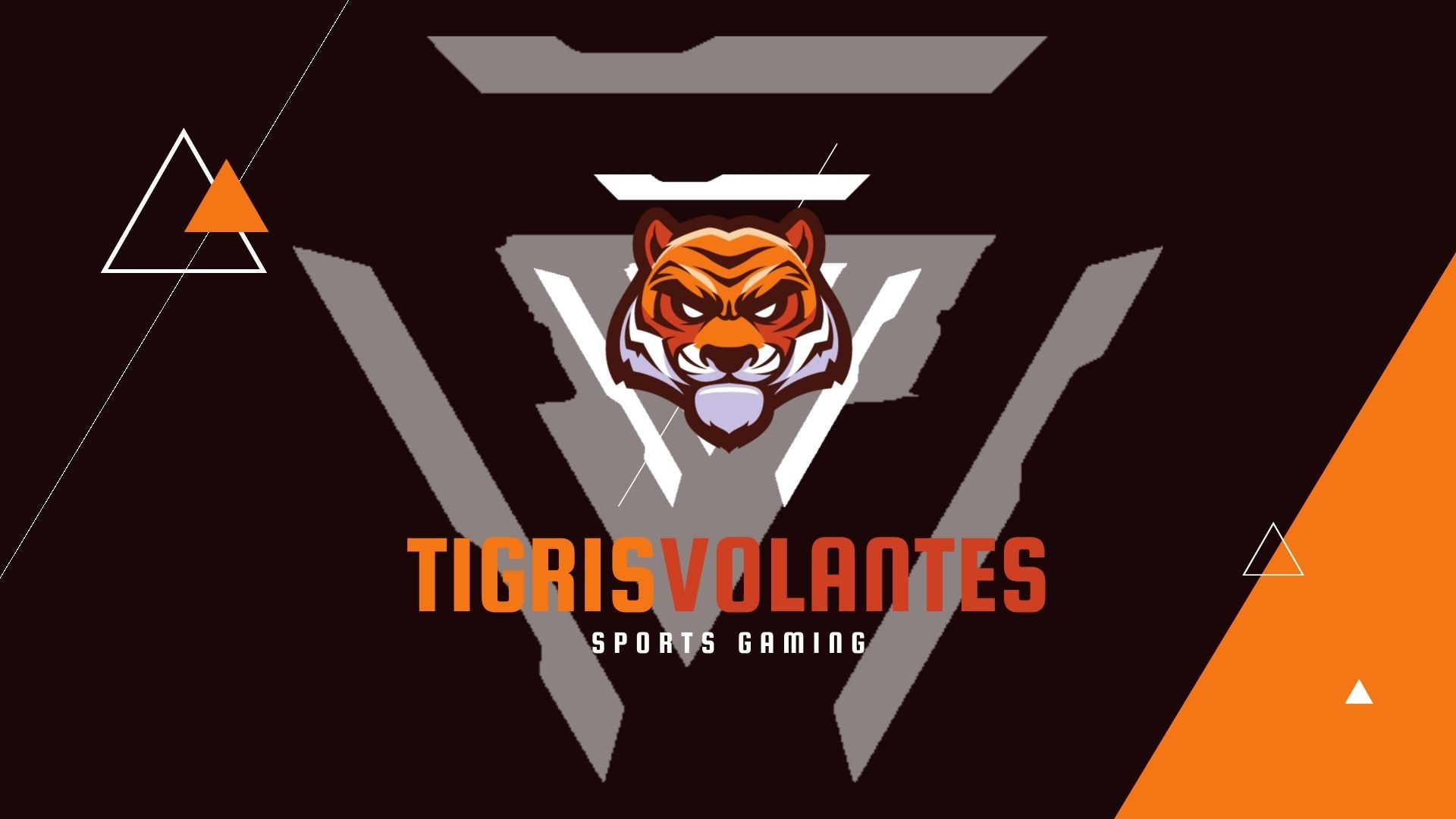 نهاية / مقدمة فيديو احترافية ب$5 فقط ( توجد عينة )