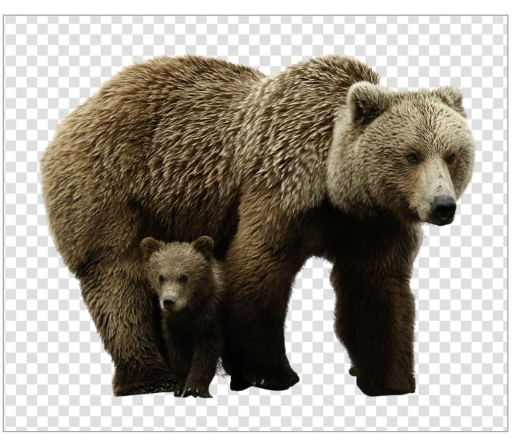 سوف اقوم بإزالة خلفية الصورة بأحترافية