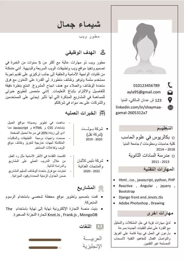 تصميم سيرة ذاتية احترافية