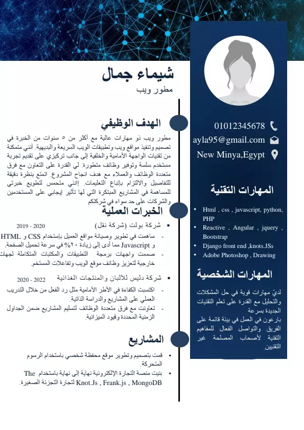 تصميم سيرة ذاتية احترافية