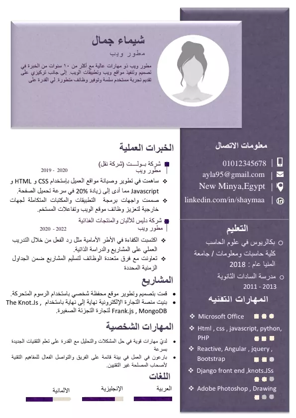 تصميم سيرة ذاتية احترافية