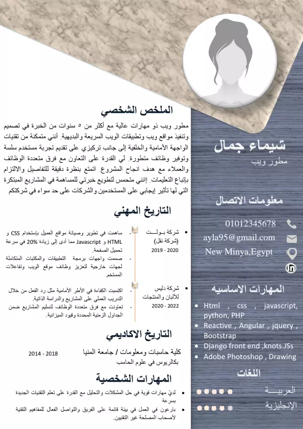 تصميم سيرة ذاتية احترافية