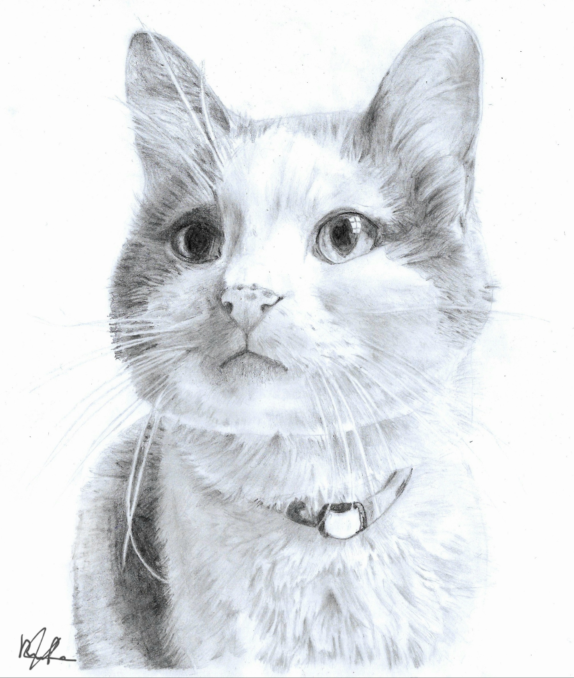 بورتريه احترافي