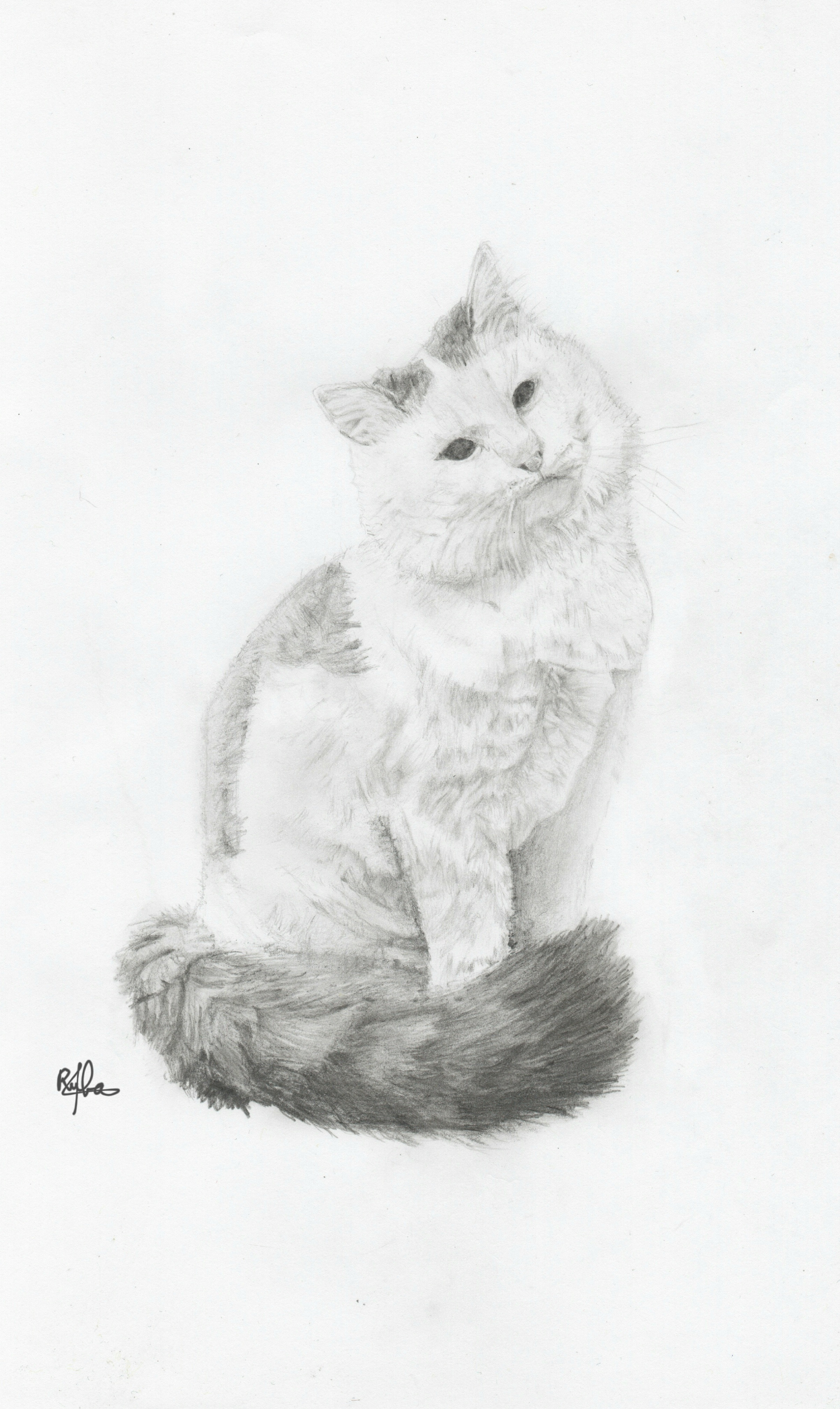 بورتريه احترافي