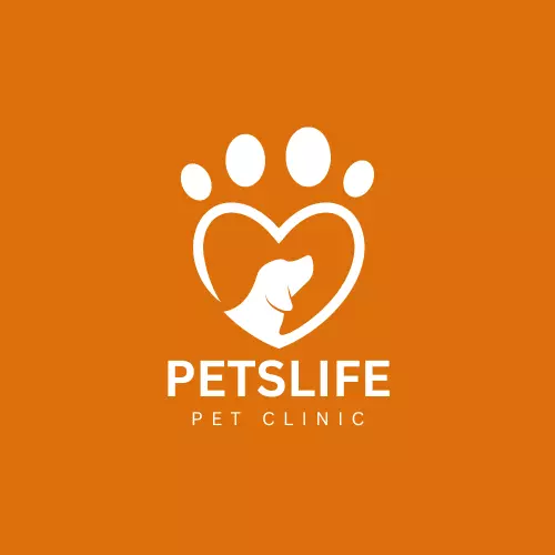 تصميم لوجو احترافي و جذاب يعبر عن مشروعك