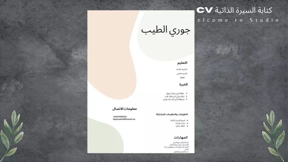 كتابة السيرة الذاتية CV بإحترافية و إبداع