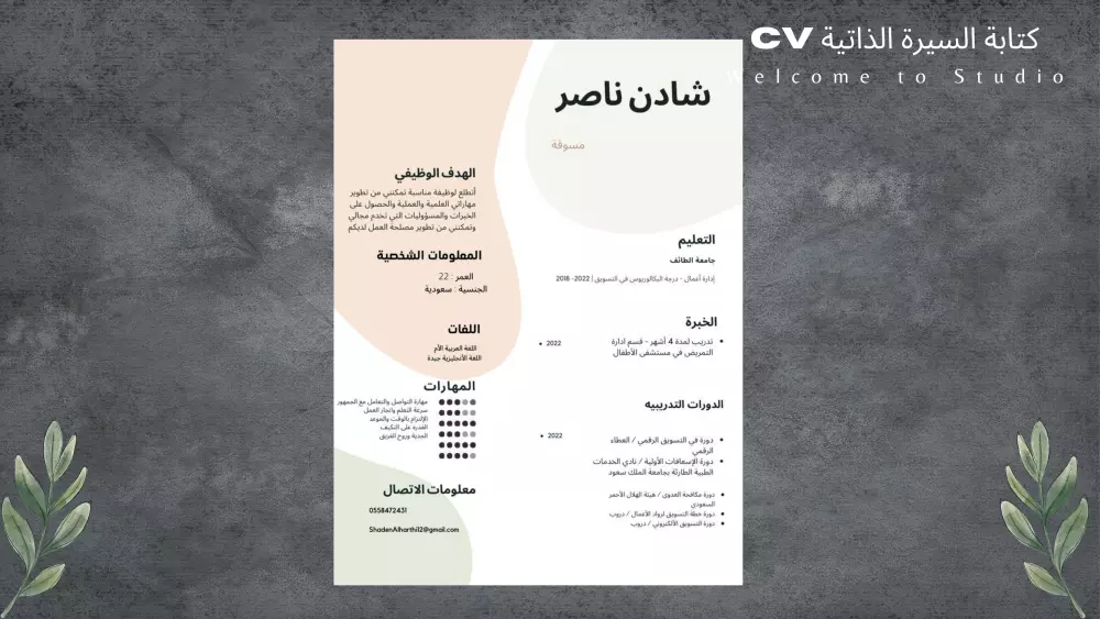 كتابة السيرة الذاتية CV بإحترافية و إبداع
