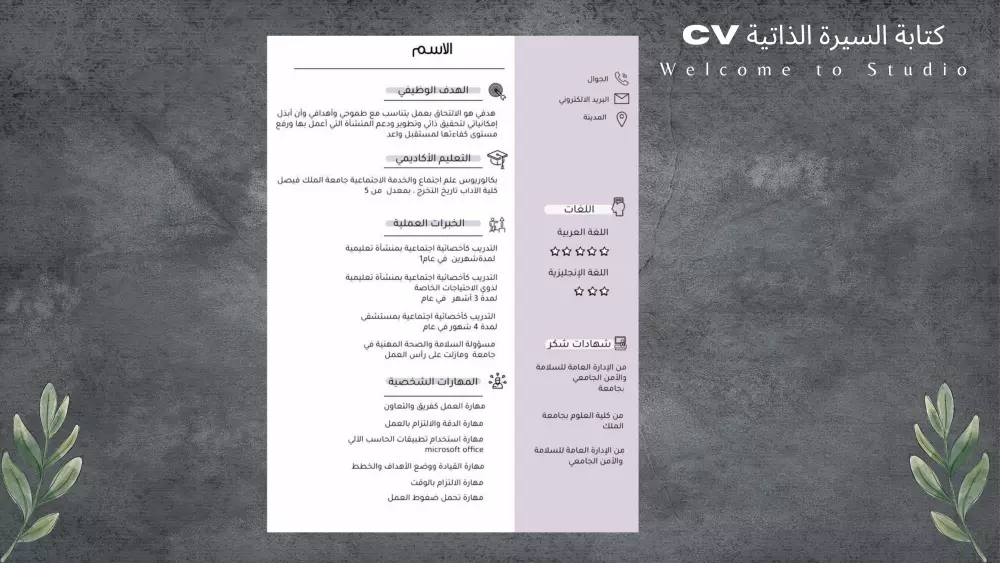 كتابة السيرة الذاتية CV بإحترافية و إبداع