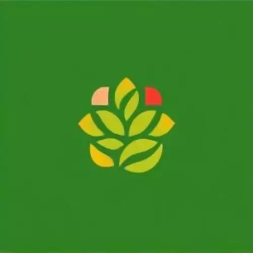 تصميم لوجوهات ومنشورات احترافية لصفحة التواصل الاجتماعي