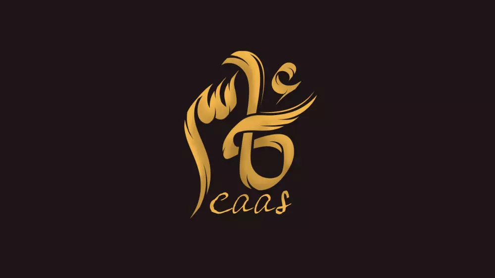 تصمم لوجو مميز بالخط العربي arabic calligraphy logos