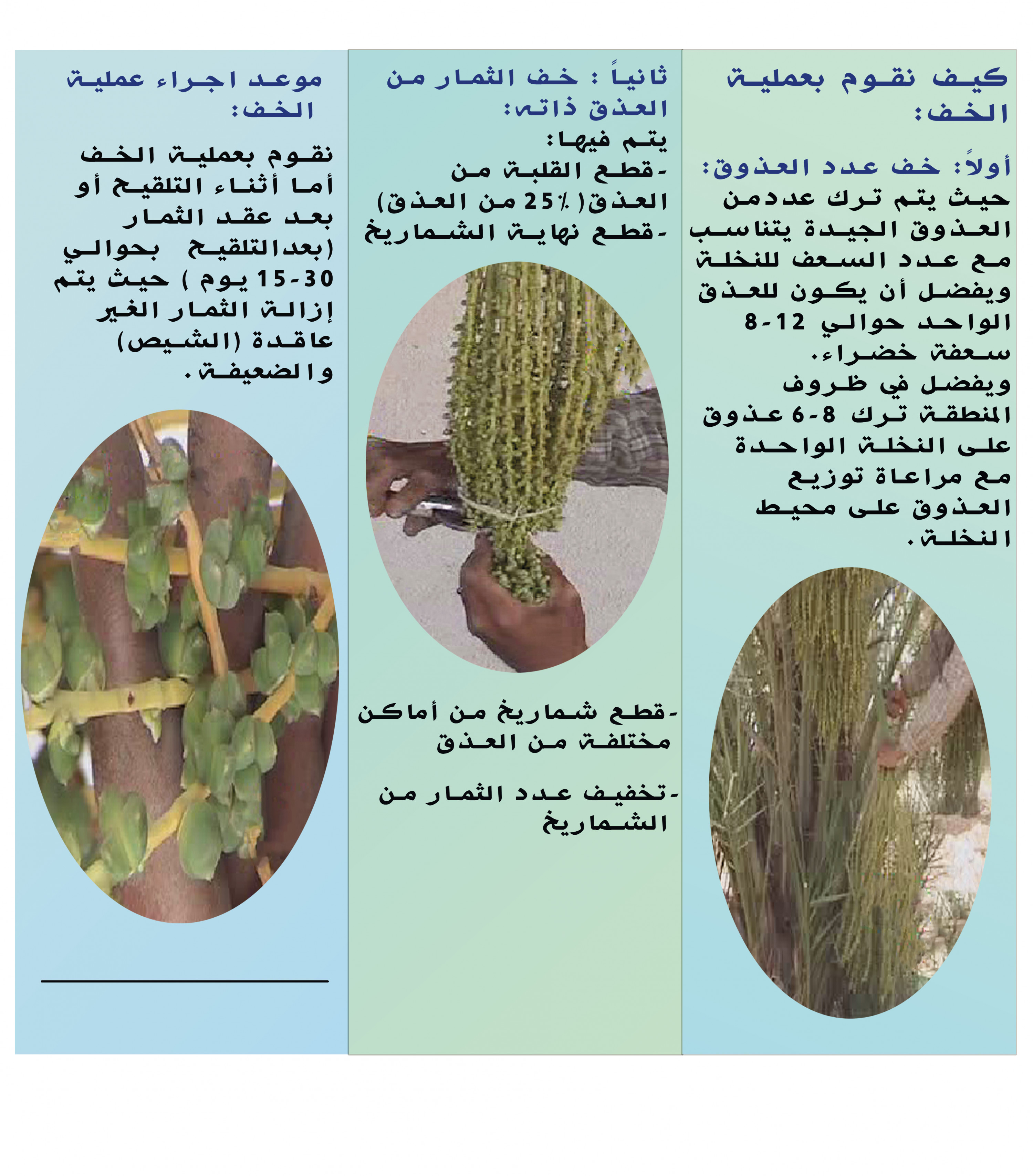 تصميم مميز لبروشور , فلاير, بوستر, كرت, بطاقة تهنئة , CV