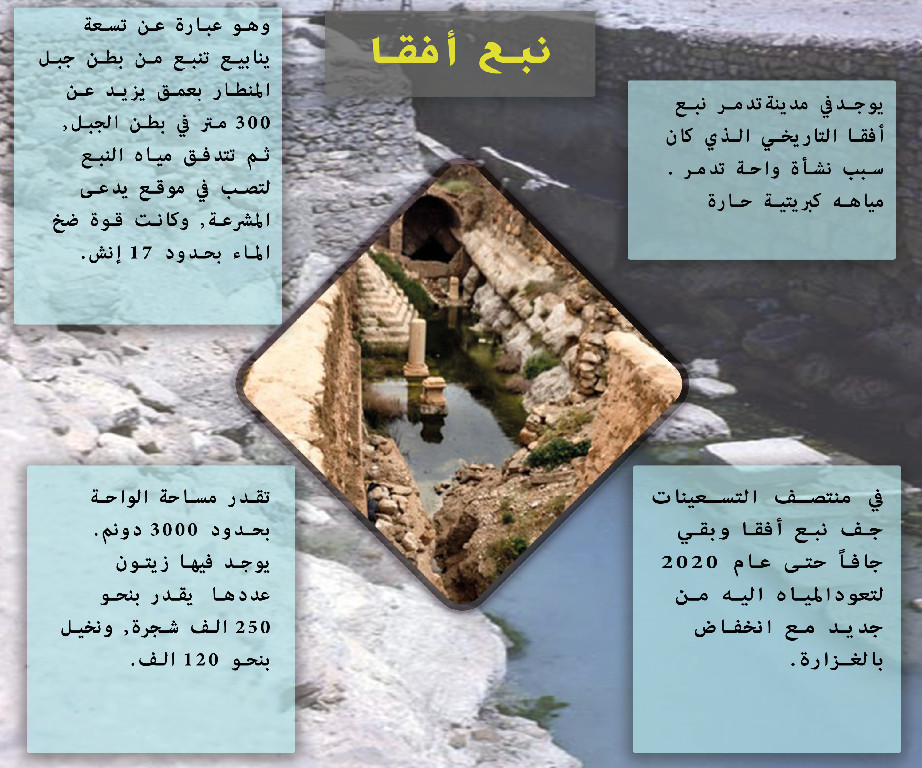 تصميم مميز لبروشور , فلاير, بوستر, كرت, بطاقة تهنئة , CV