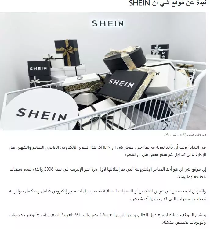 كتابة 2 مقال مطابقين لقواعد السيو SEO مع النشر في موقعك