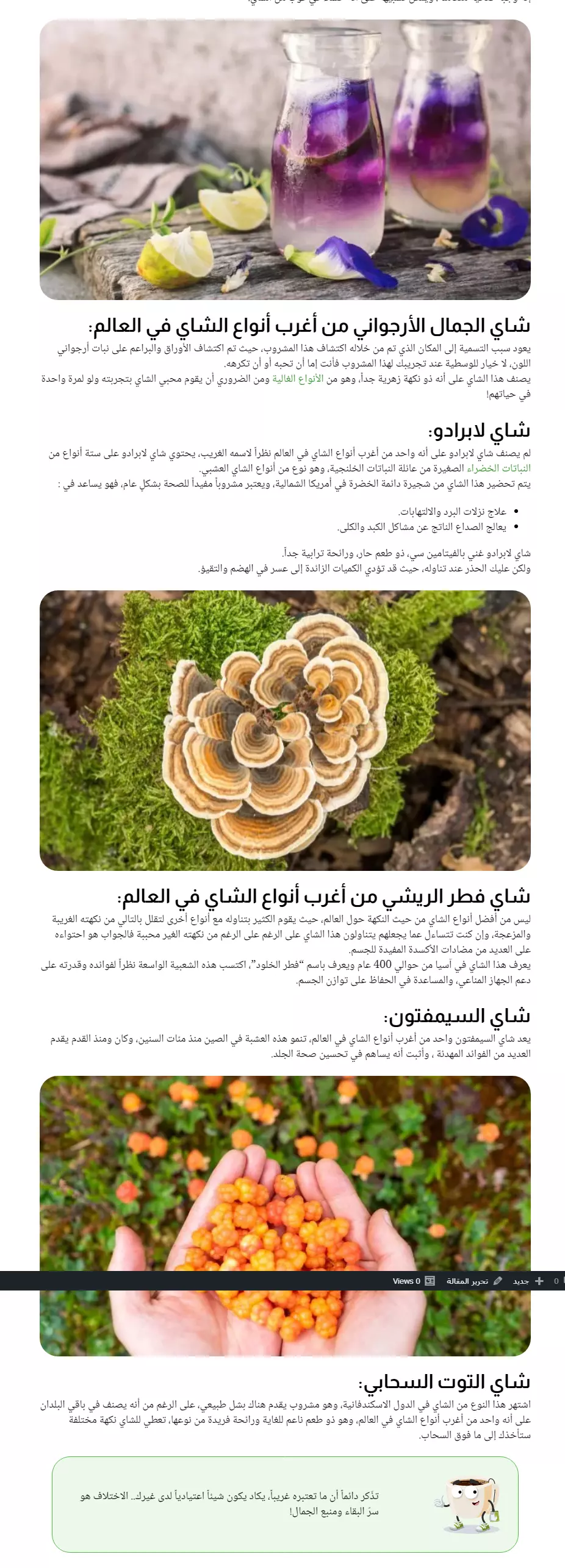 كتابة مقالات متوافقة مع ال seo باللغة العربية الفصحى ورفعها على الووردبريس