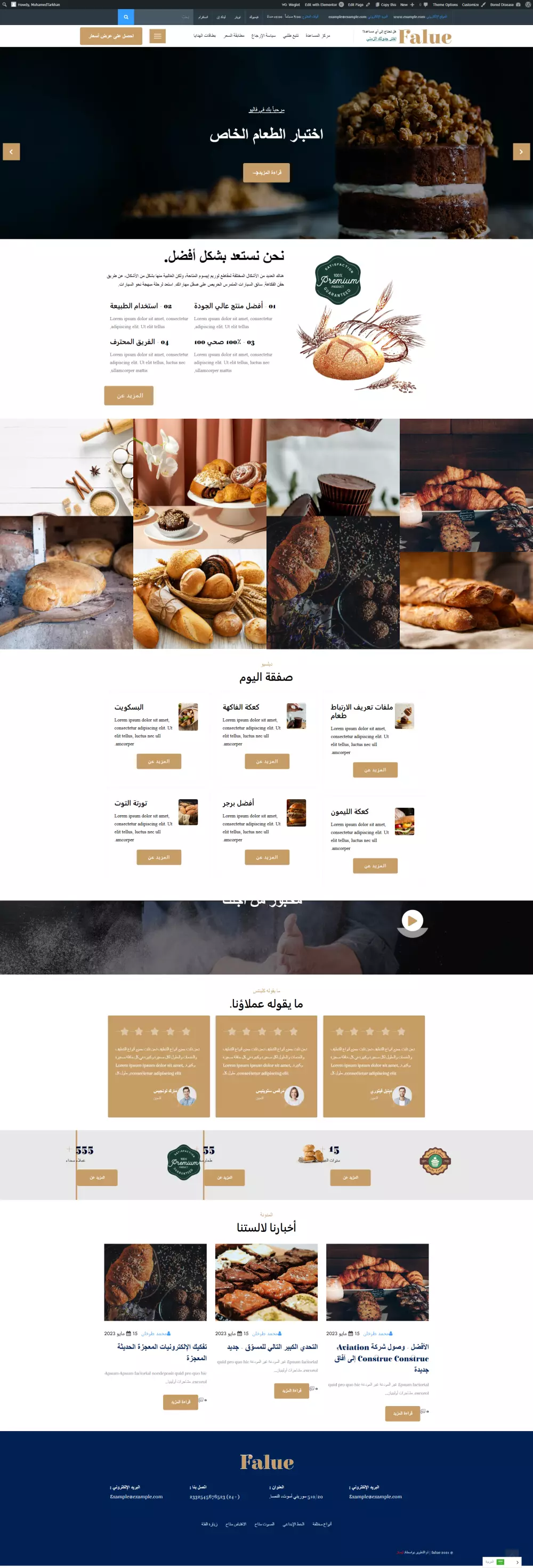 تصميم موقع الكترونى خاص بسيرتك الذاتية