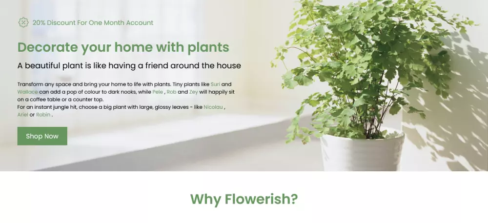 تطوير موقع باستخدام MERN Stack