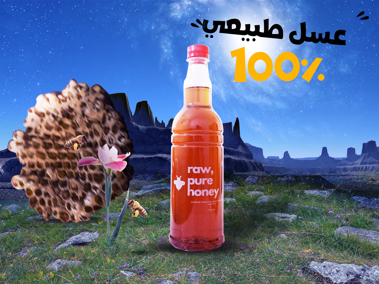 تصميم منشورات/صور السوشيال ميديا