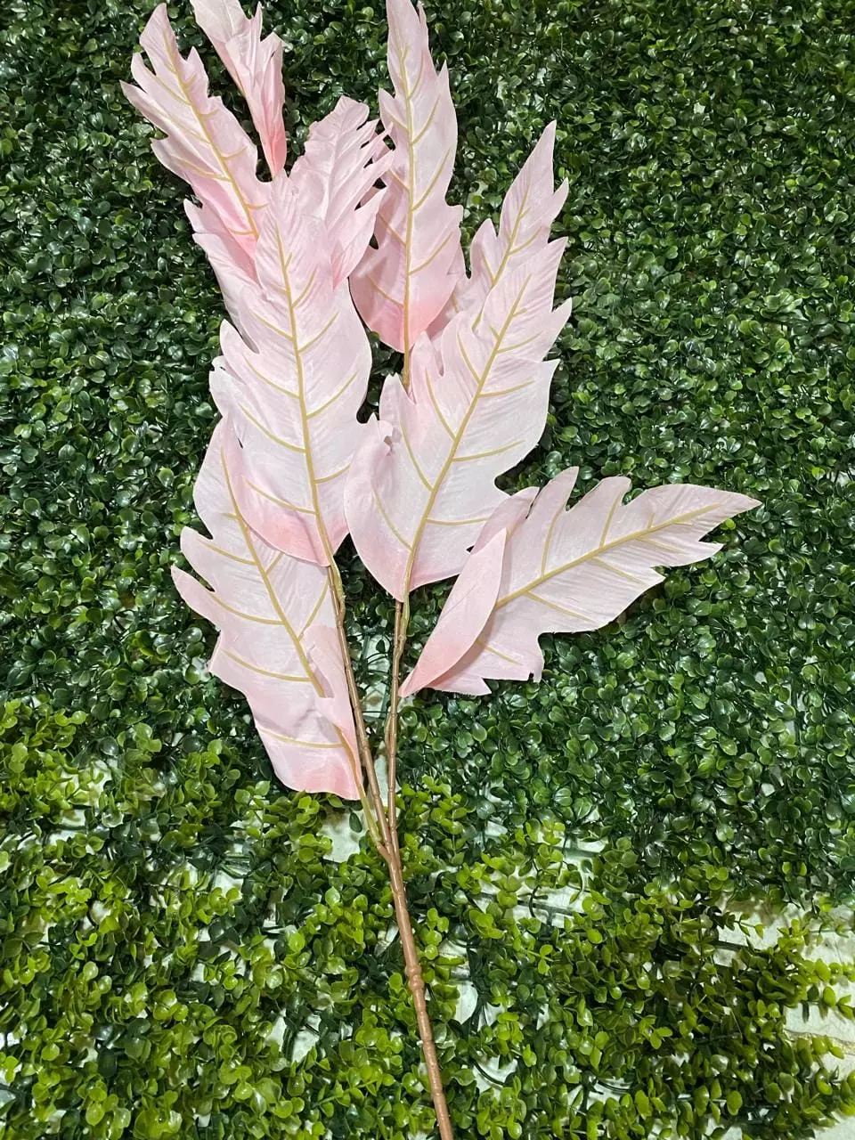 متخصصون في توريد وتجهيز مستلزمات الافراح