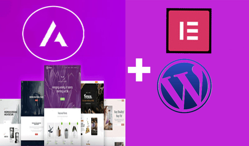 تركيب ورد بريس + قالب استرا برو Astra pro