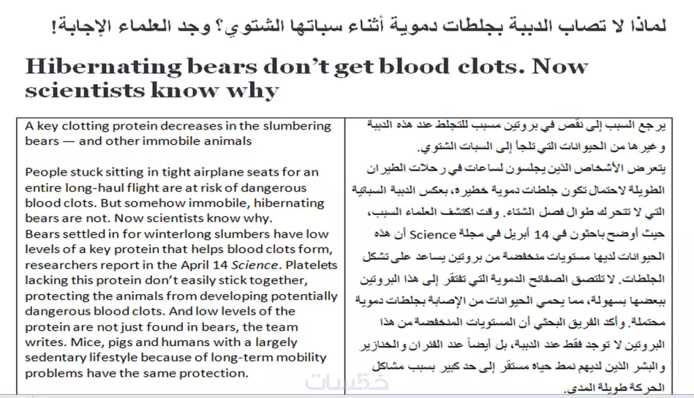 ترجمة جميع أنواع النصوص عربي انكليزي
