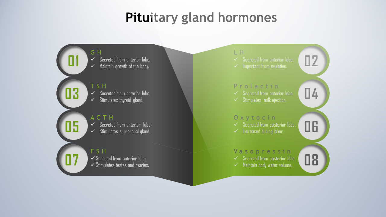 عرض بوربوينت PowerPoint انفوجرافيك احترافي