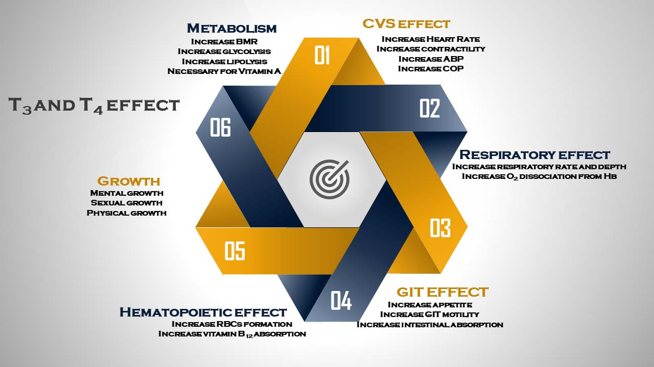 عرض بوربوينت PowerPoint انفوجرافيك احترافي