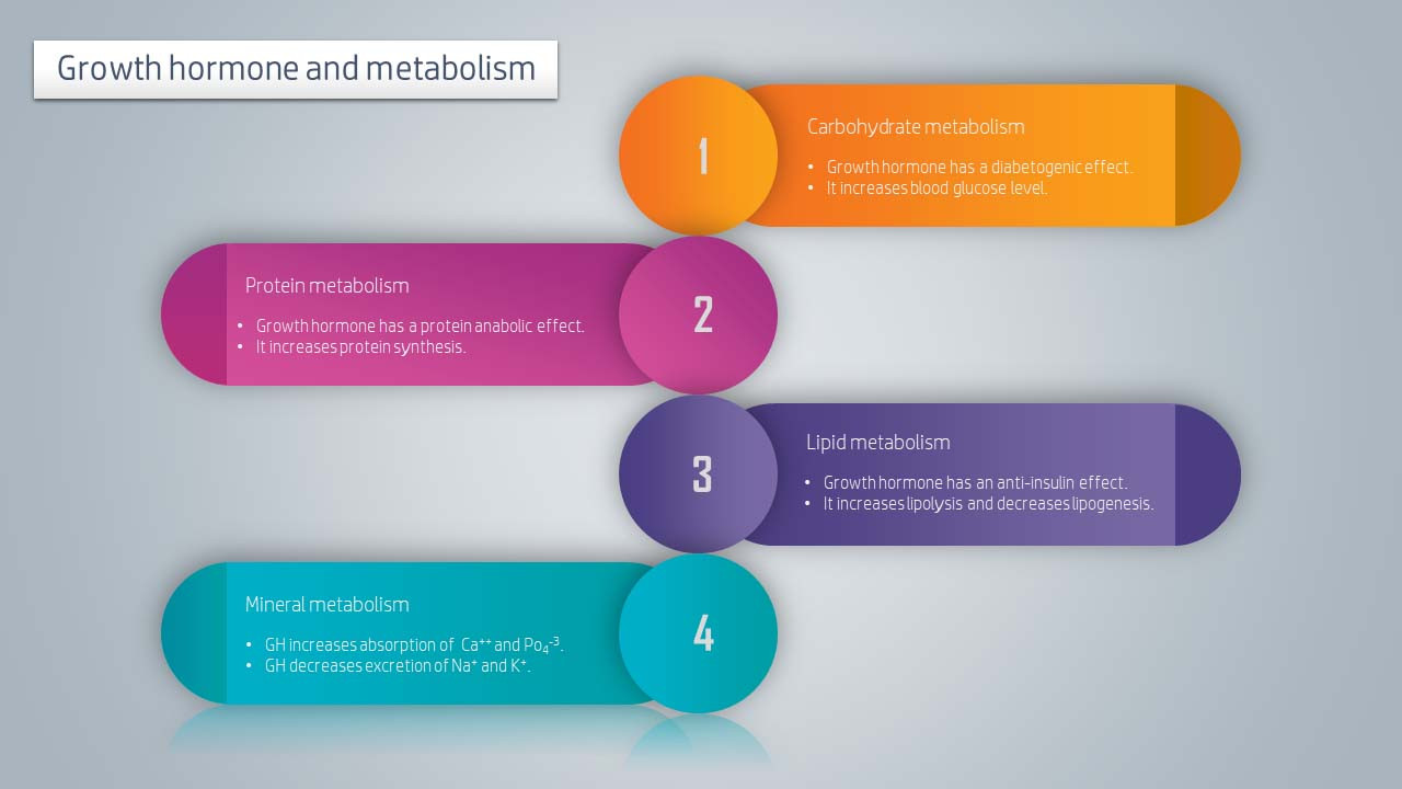 عرض بوربوينت PowerPoint انفوجرافيك احترافي