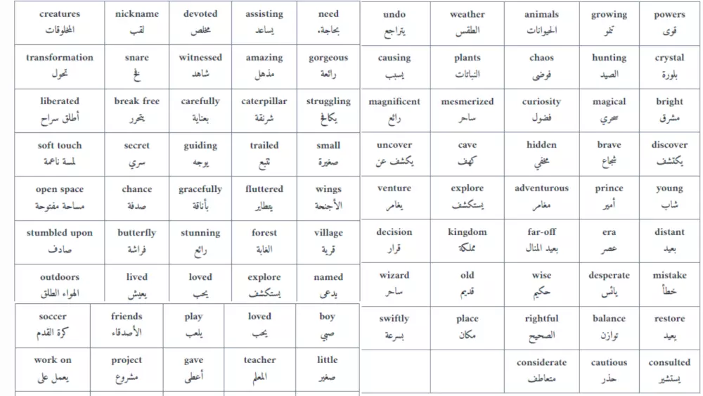 ترجمة احترافية من اللغة الانجليزية الى العربية والعكس