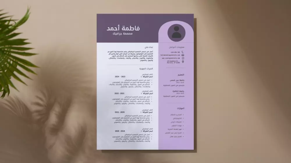 تصميم سيرة ذاتية CV بشكل احترافي باللغتين