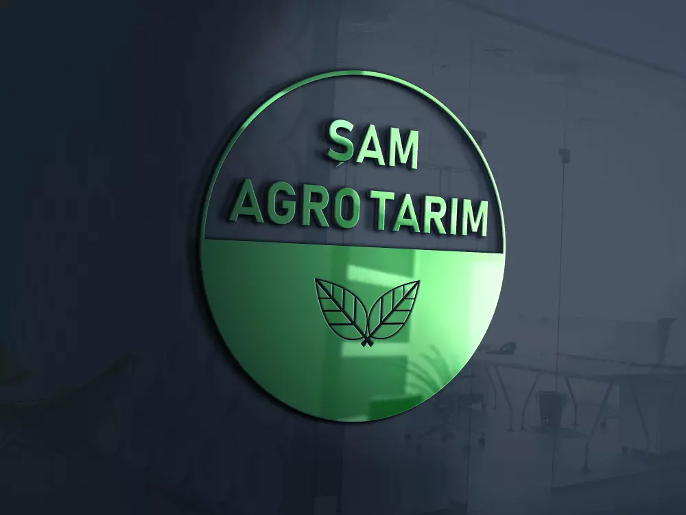 تصميم شعار لوغو احترافي