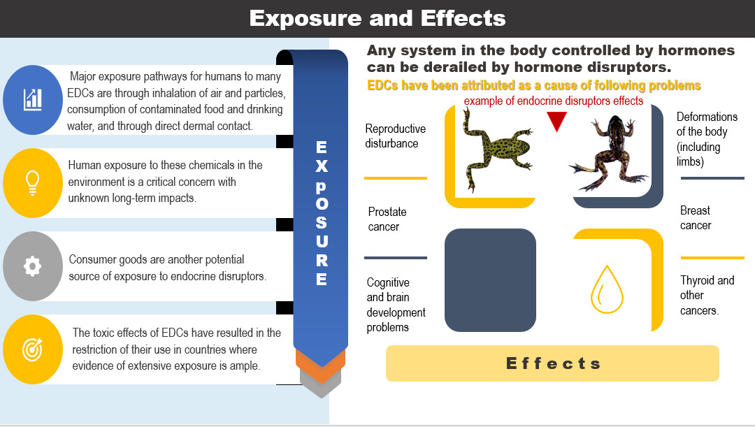 تفريغ ملفات PDF إلى WORD و POWERPOINT بدقة وسرعة
