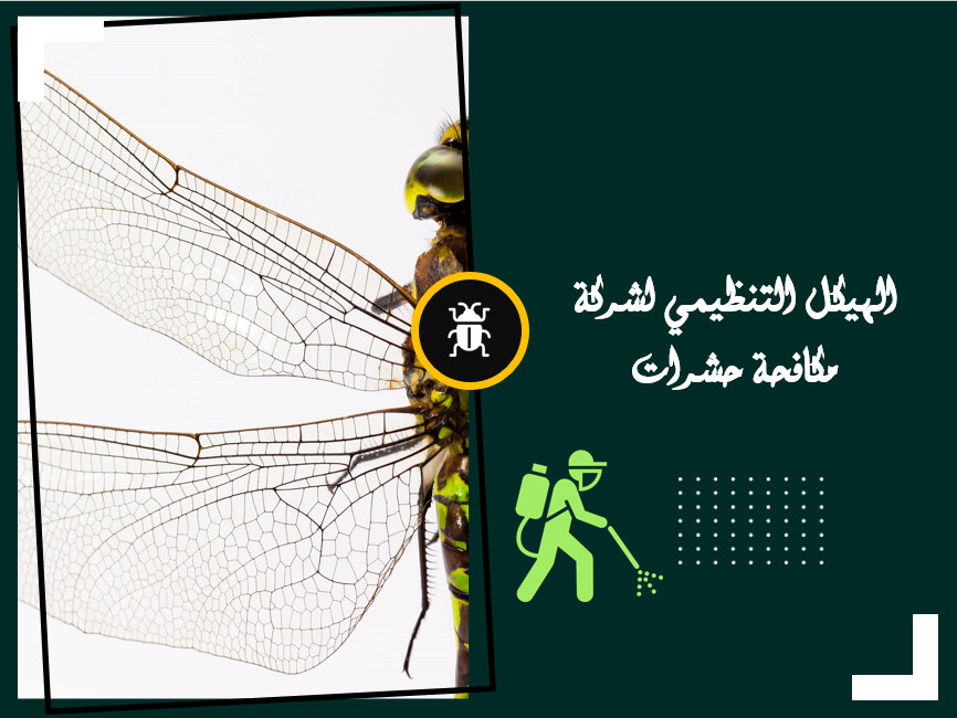 تصميم عروض باوربوينت احترافية - PowerPoint  presentation