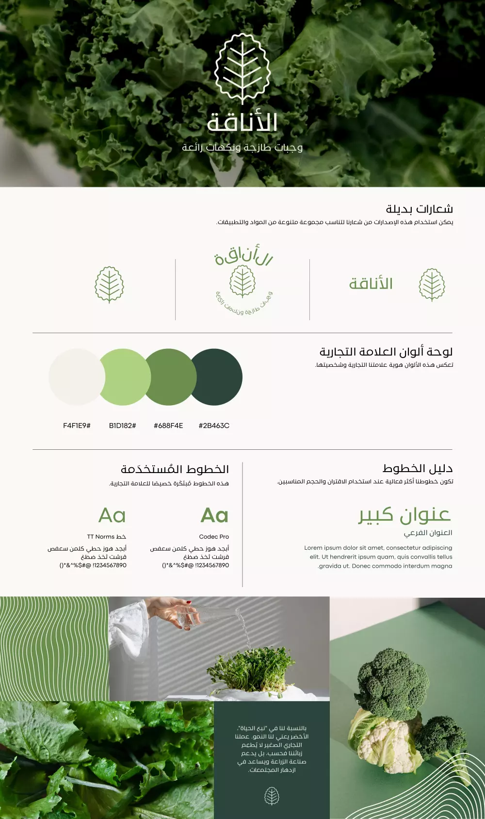 تصميم هوية بصرية احترافية حصرية جذابة