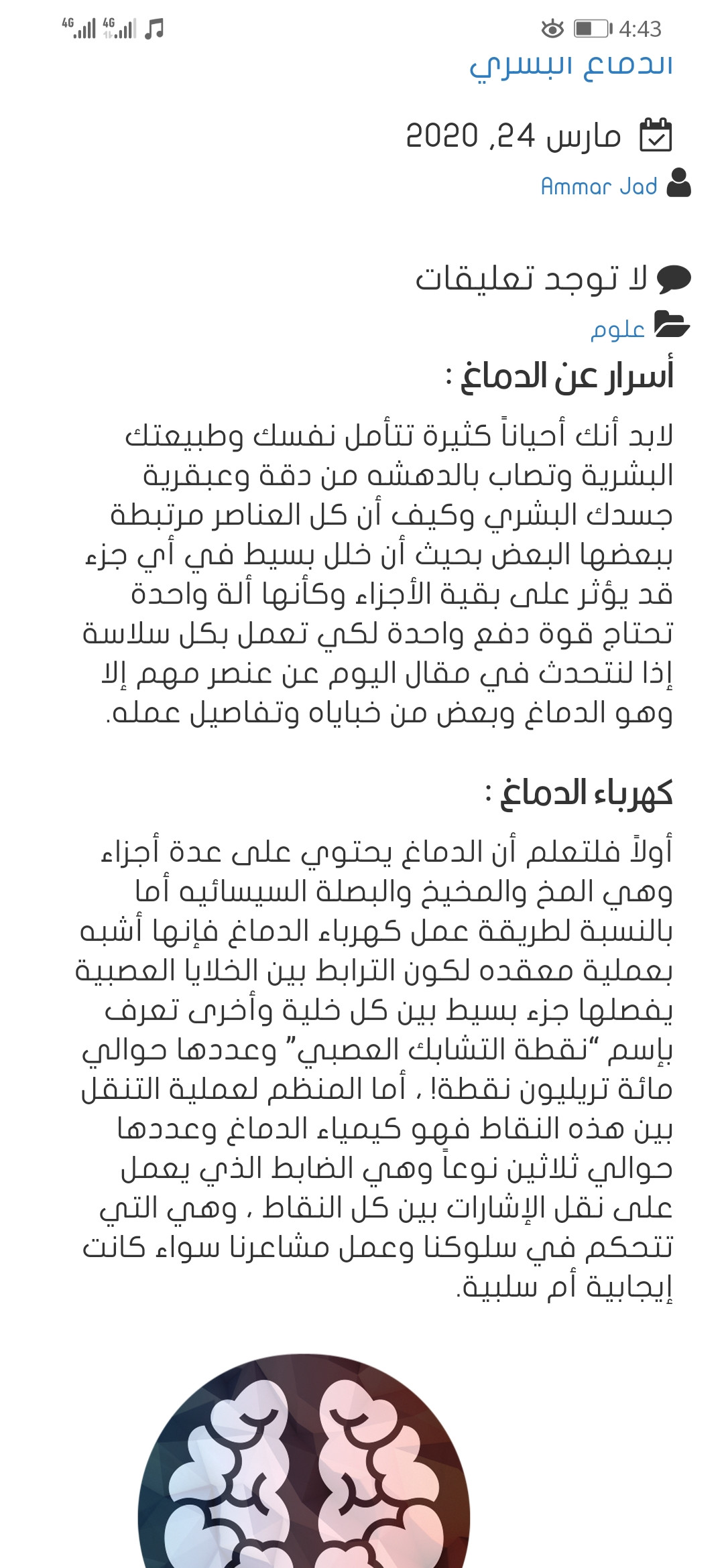 كتابة المقالات