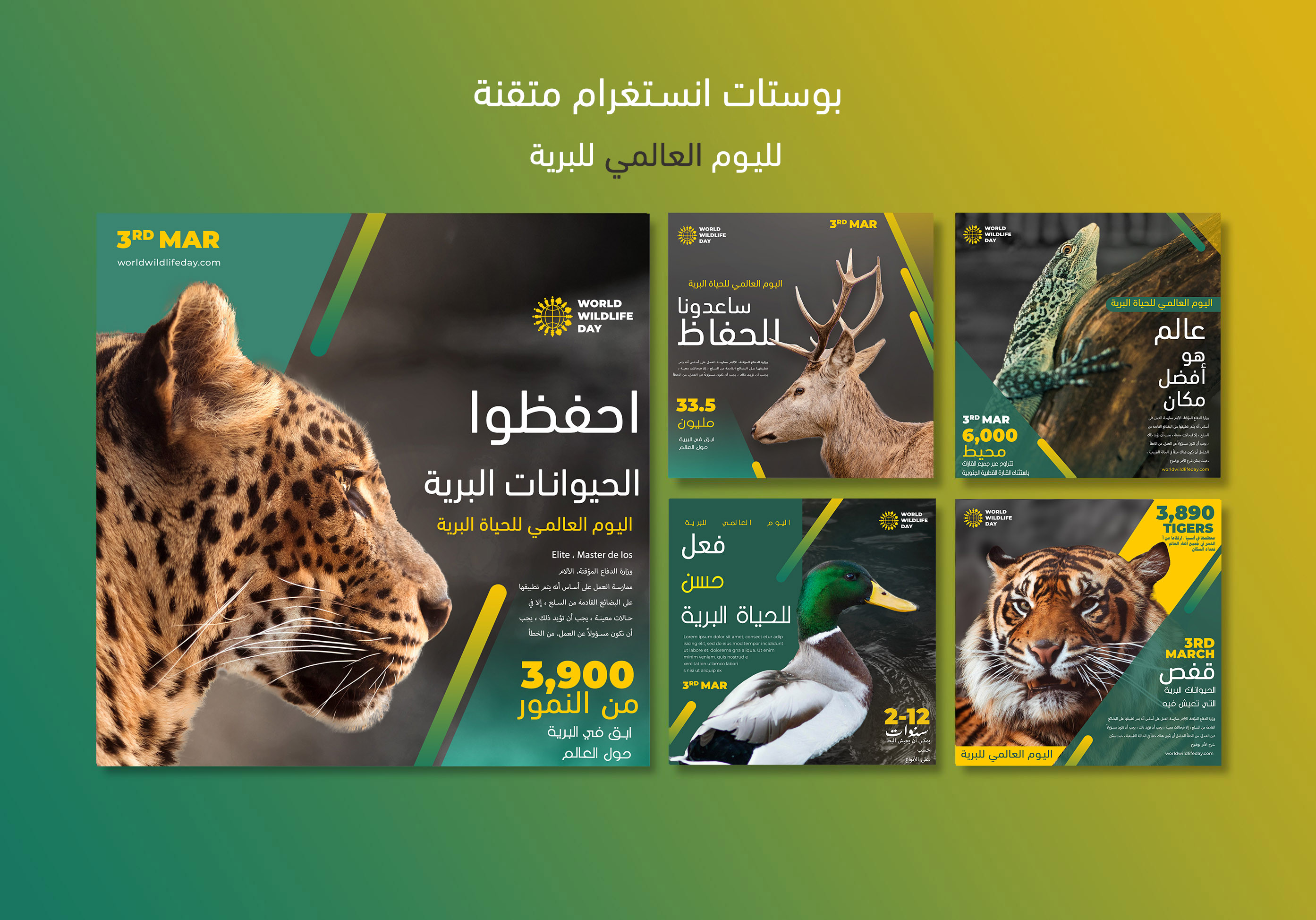 تصميم بوستات