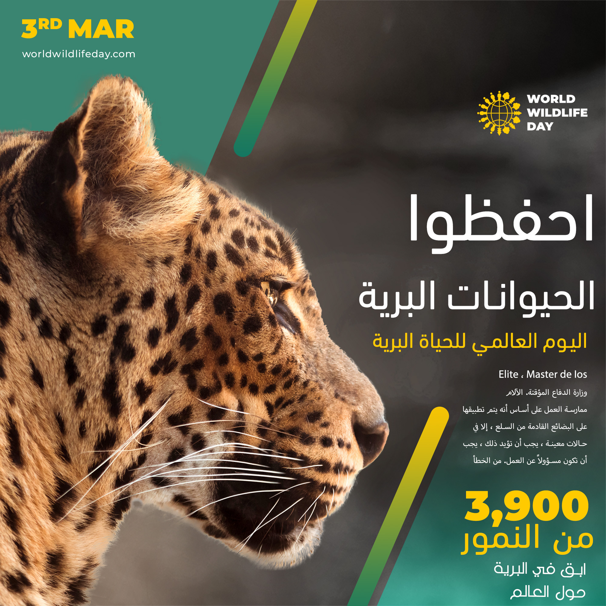 تصميم بوستات