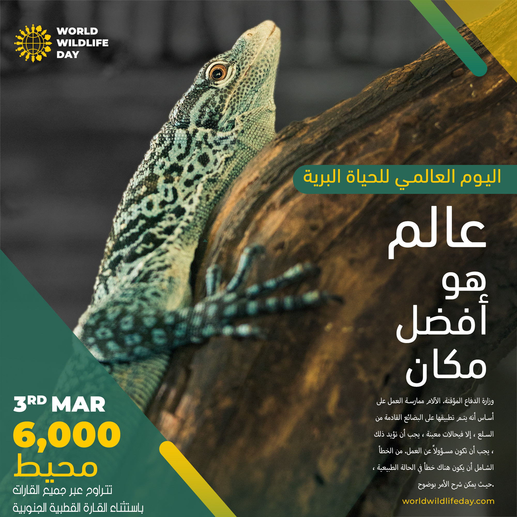 تصميم بوستات